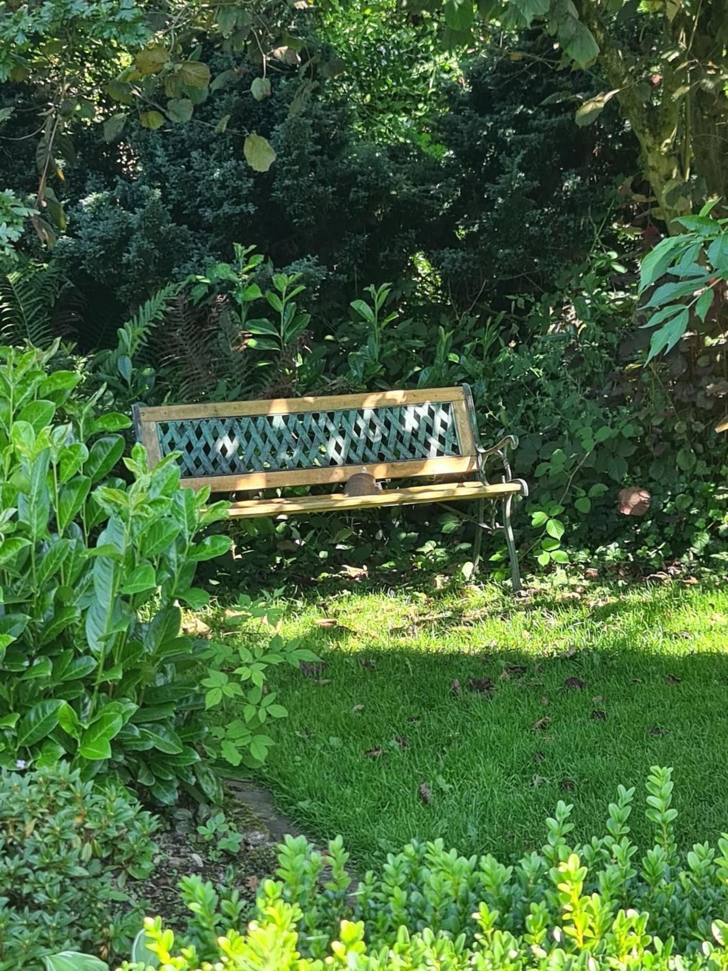 Haus Rosengarten Mit Sauna Bad Wünnenberg エクステリア 写真
