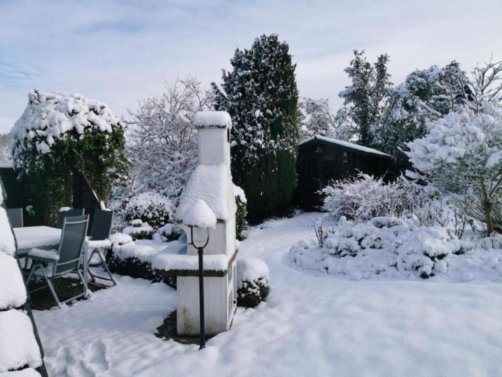 Haus Rosengarten Mit Sauna Bad Wünnenberg エクステリア 写真
